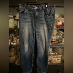 Women’s Judy Blue Jeans. Size 16